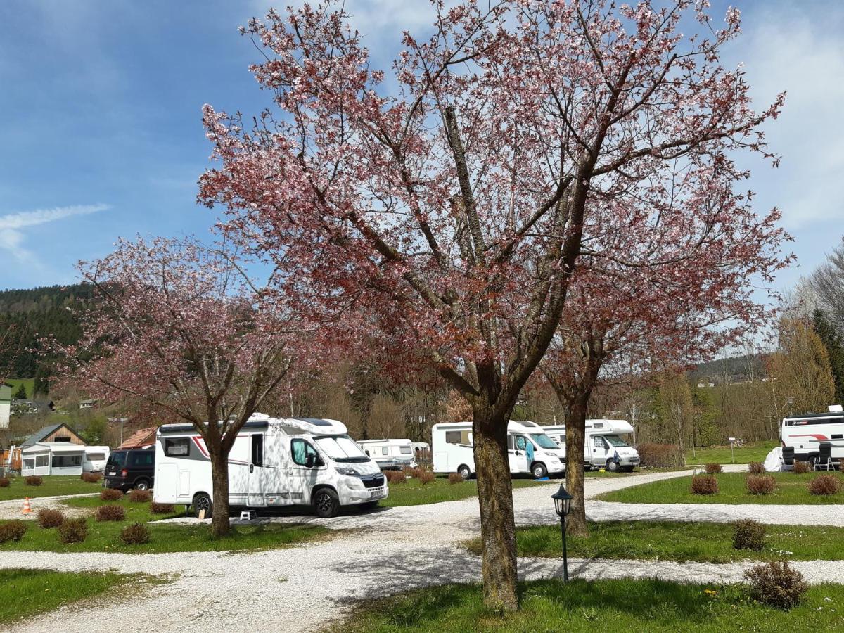 Campingfass Almtal Scharnstein Dış mekan fotoğraf