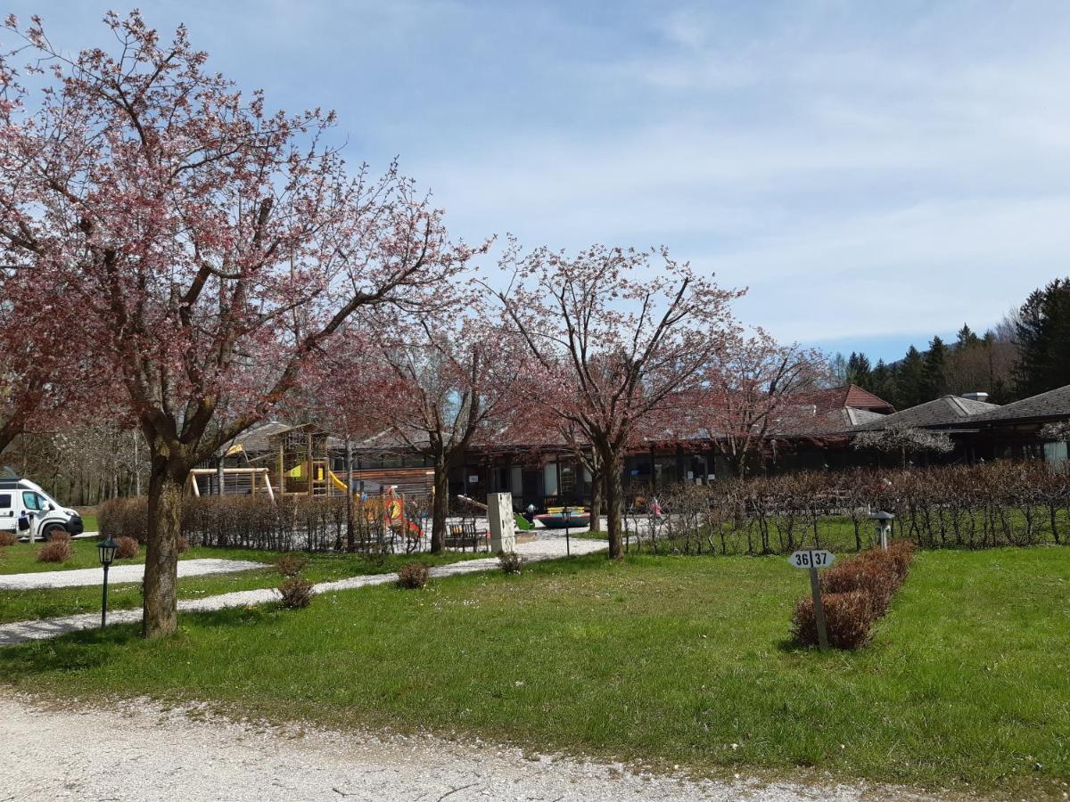 Campingfass Almtal Scharnstein Dış mekan fotoğraf